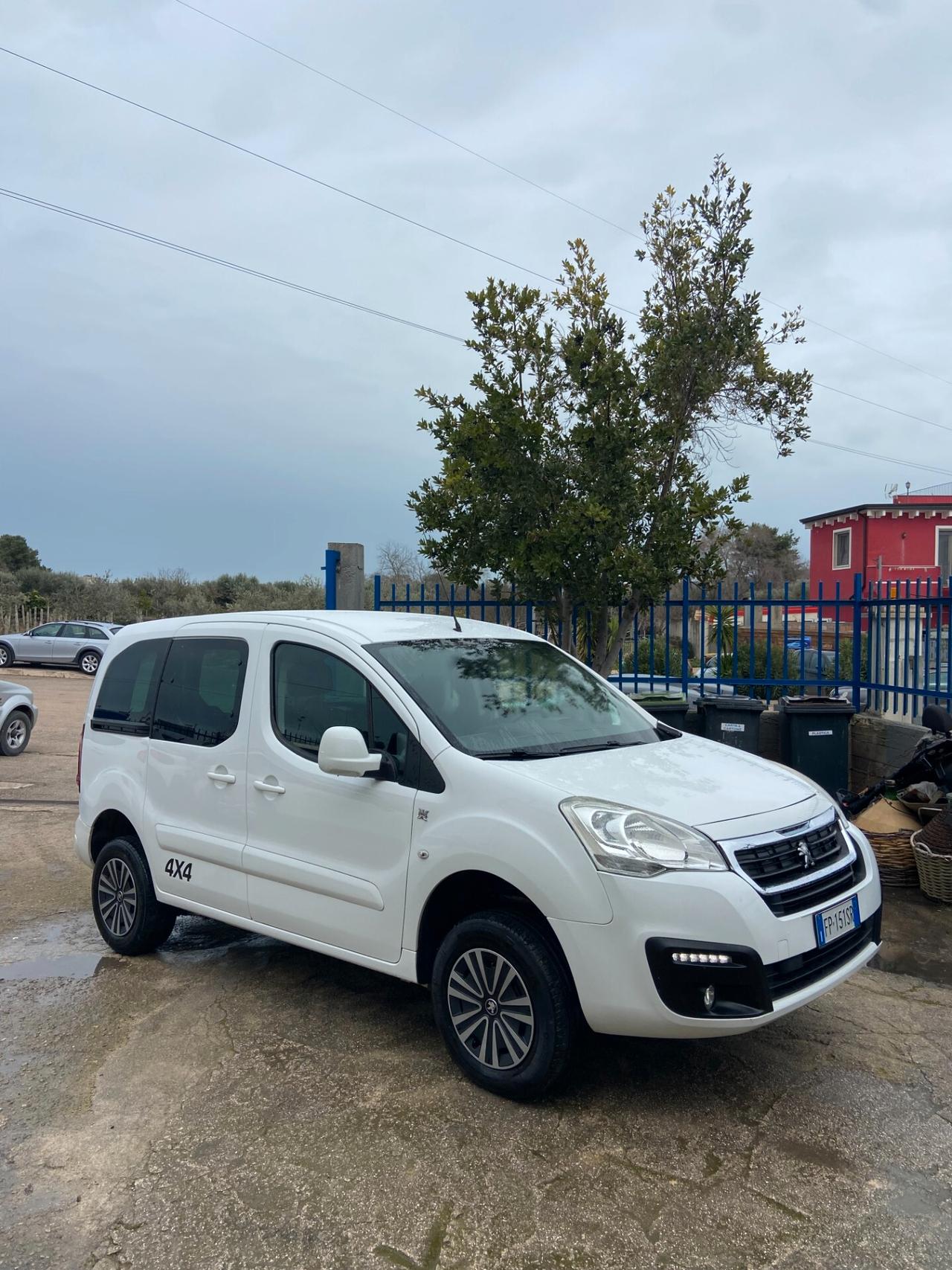 Peugeot Partner hdi 100 cv 4x4 DANGEL OUTDOOR