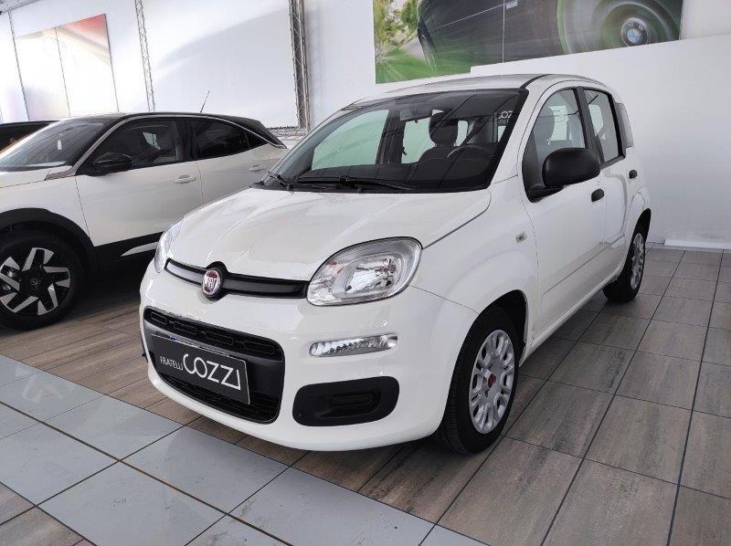 FIAT Panda 3ª serie - Panda 1.0 FireFly S&S Hybrid