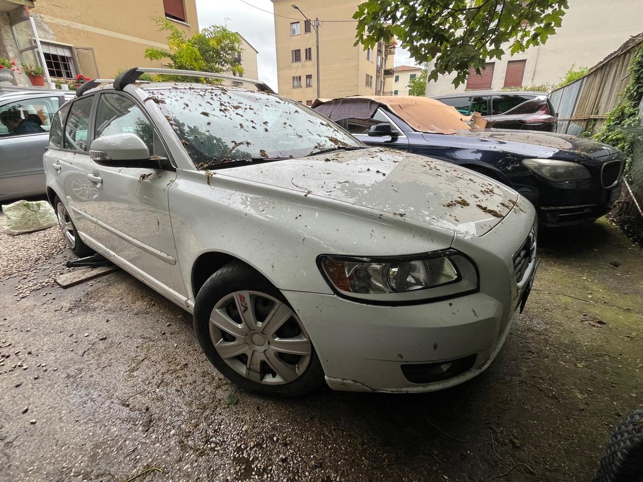 Volvo V50 solo EXPORT