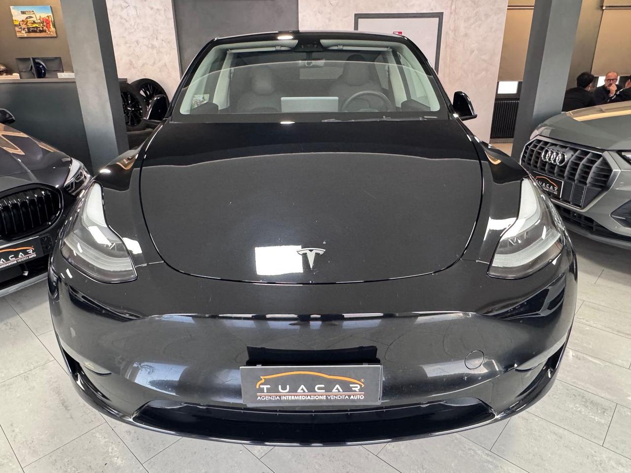 Tesla Model Y Dual Motor Long Range AWD #5359