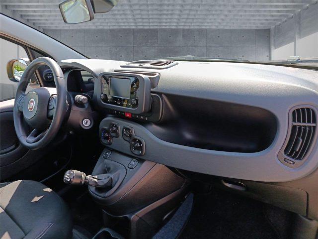 FIAT Panda 3ª serie 1.0 FireFly S&S Hybrid Pop