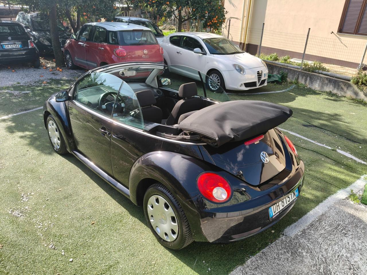 Volkswagen New Beetle 1.9 TDI 105CV Cabrio 2006