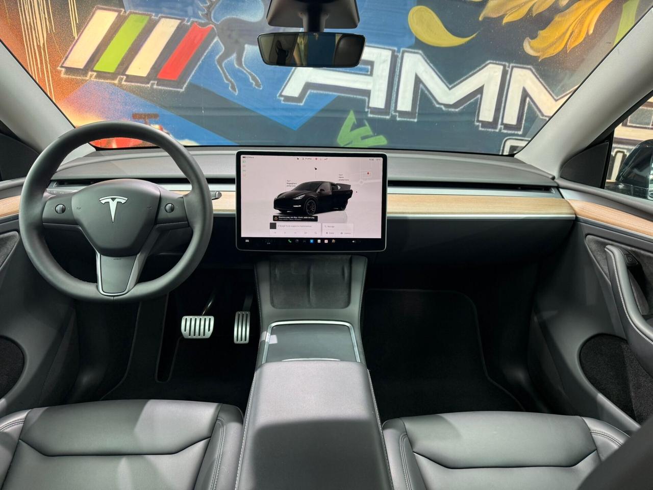 Tesla Model Y AWD Performance (231)