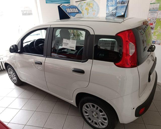 FIAT Panda 1.0 FireFly HYBRID KM 0 CON SENSORI POST.