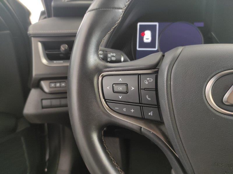 LEXUS UX - UX Hybrid Business