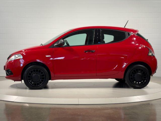 LANCIA Ypsilon 1.2 69cv 5p S&S Elefantino Blu PREZZO REALE