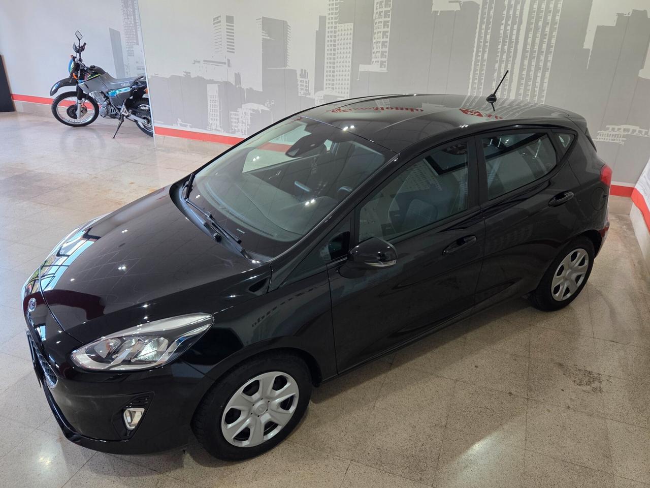 Ford Fiesta 1.5 EcoBlue 5 porte Plus