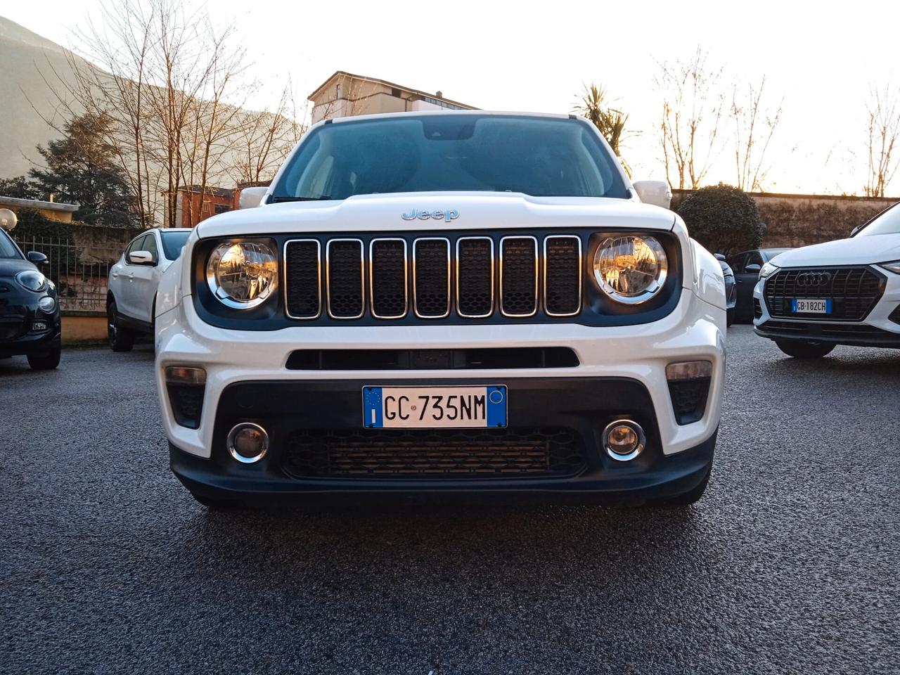 Jeep Renegade 1.6 Mjt 120 CV Longitude 2020