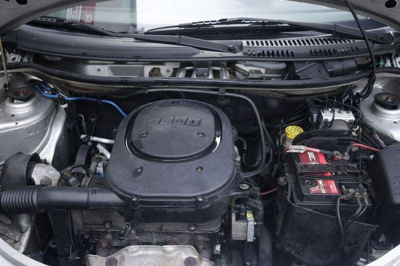 FIAT Punto FIAT Punto 1.2 5 porte Dynamic Unicoproprietario