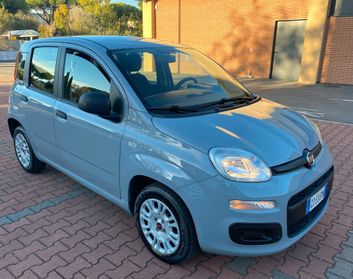 FIAT PANDA EASY 1.2cc IDONEA NEOPATENTATI