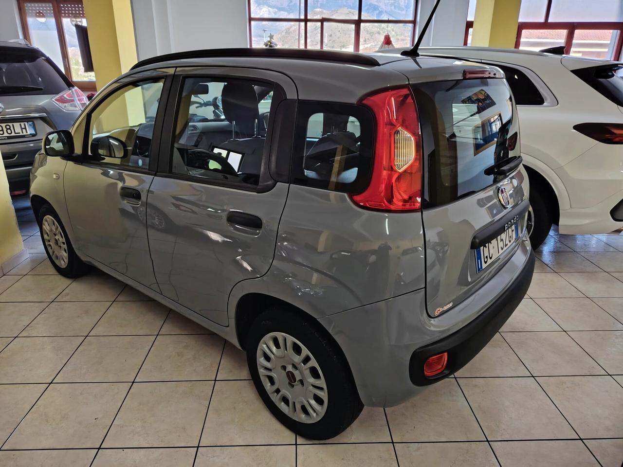 Fiat Panda 1.2 Pop Clima-1Proprietario-