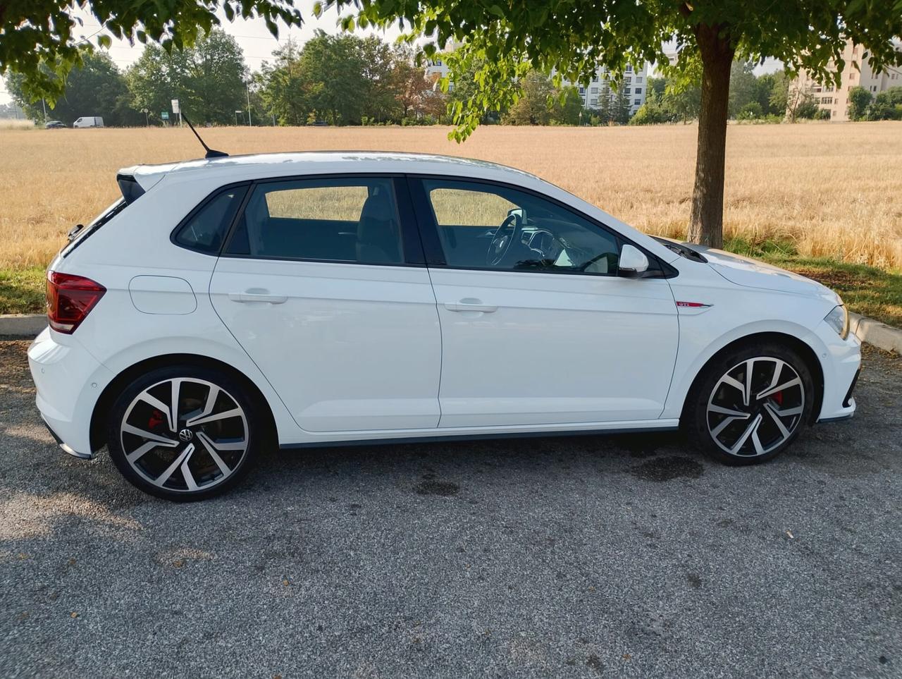 Volkswagen Polo 2.0 TSI DSG GTI BlueMotion Technology 200CV