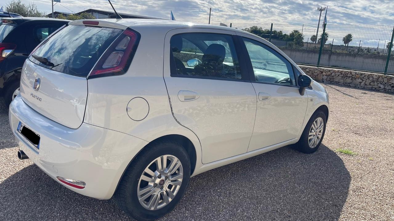 Fiat Punto 1.3 MJT II 75 CV 5 porte Street