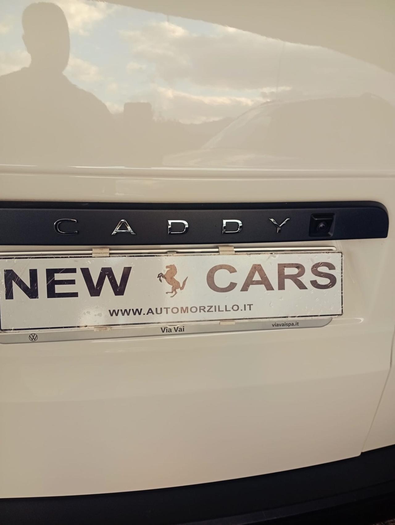 Volkswagen Caddy 2.0 TDI 122 CV 4Motion Furgone Business