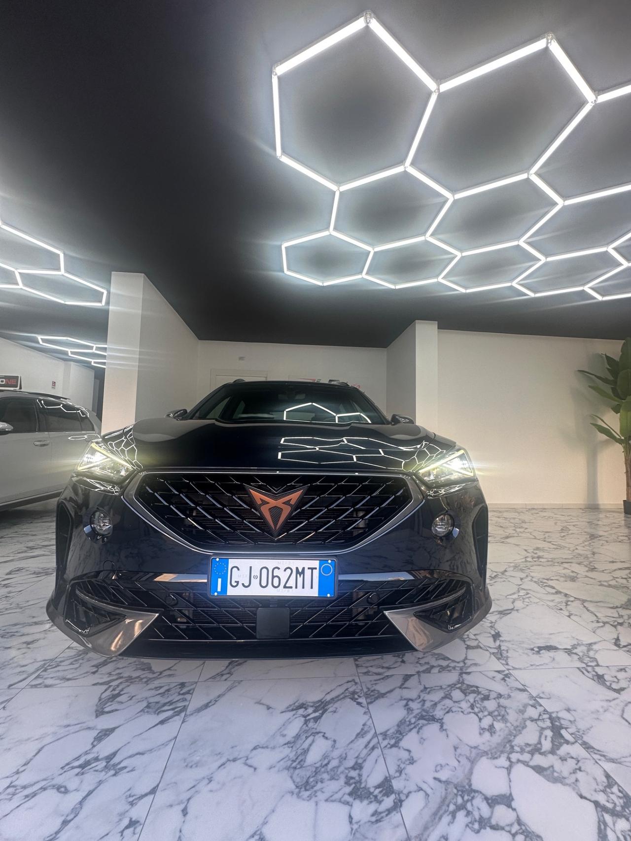 Cupra Formentor 2.0 TDI 4Drive DSG