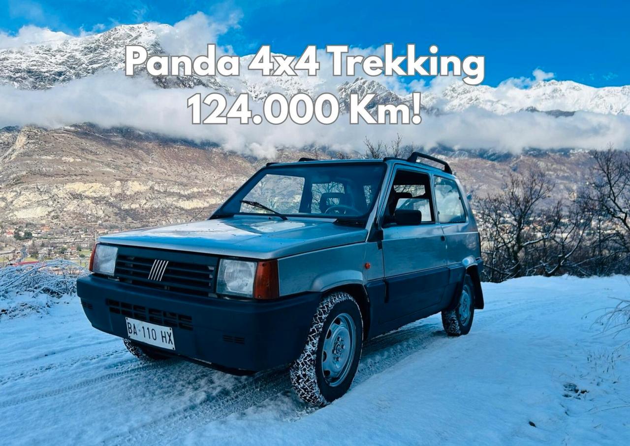 Fiat Panda 1100 4x4 Trekking