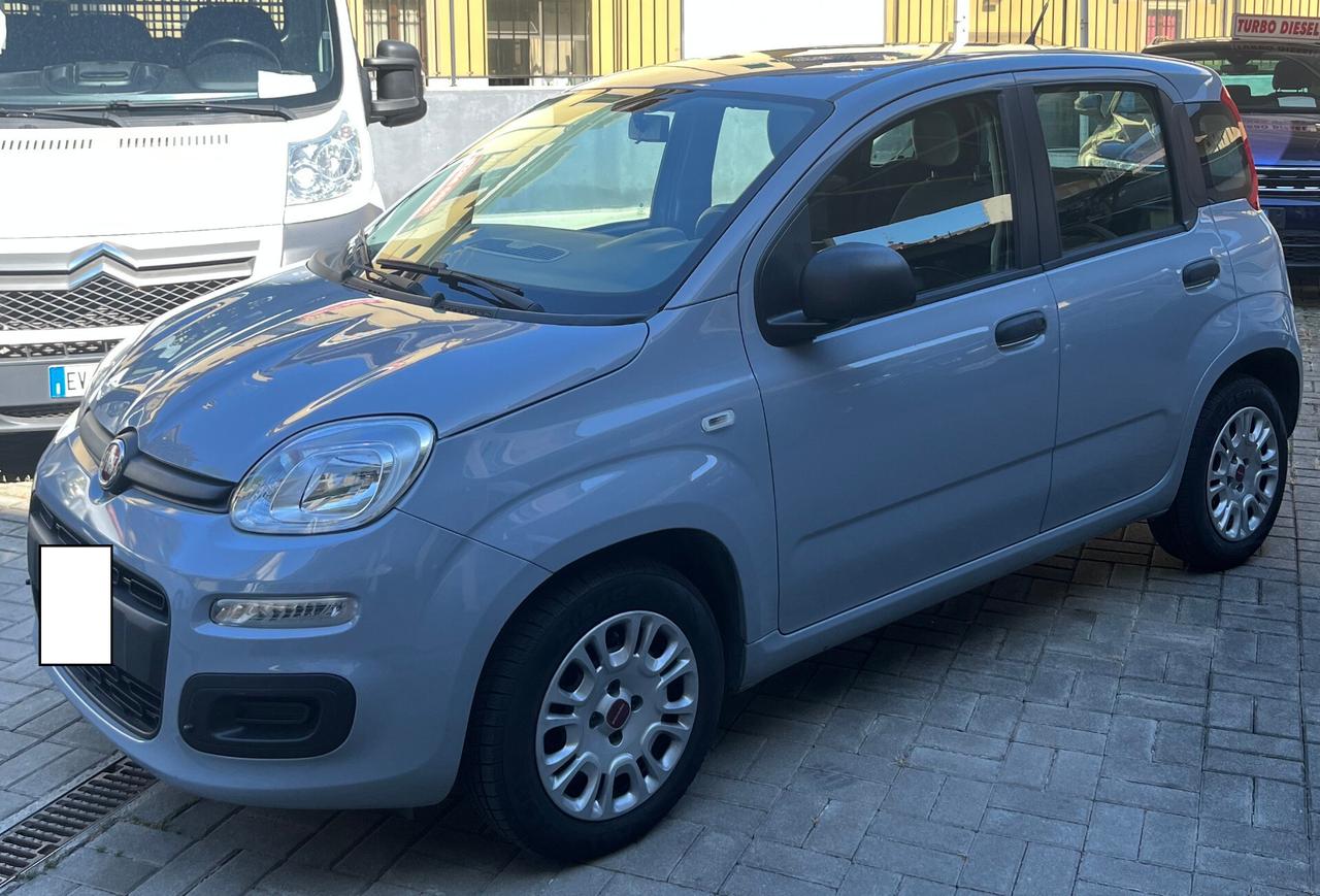Fiat Panda 1.2 Benzina Connected by Wind - Anche Per Neopatentati - 2019
