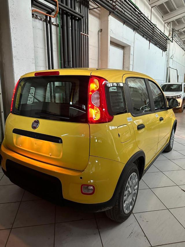 FIAT Panda Panda 1.0 HYBRID 51KW