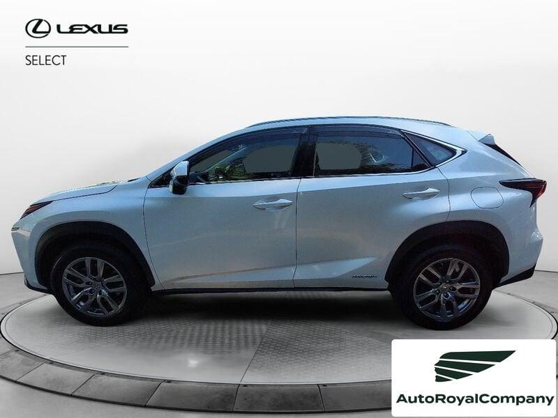 Lexus NX NX Hybrid 4WD Executive