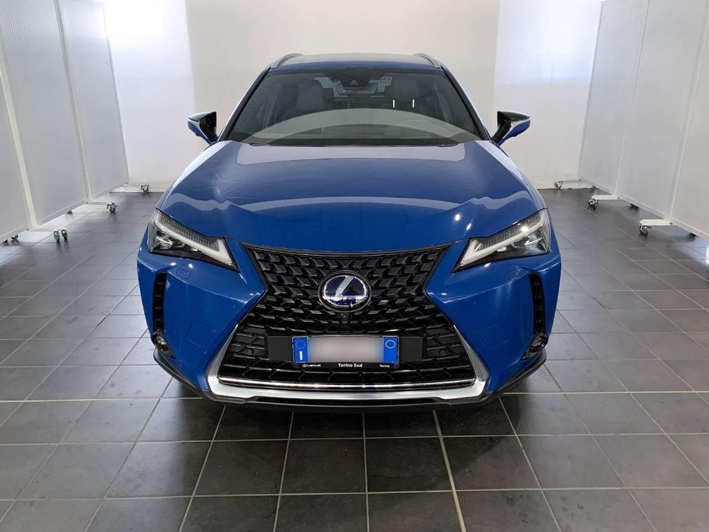 Lexus UX 300 e Luxury 2WD