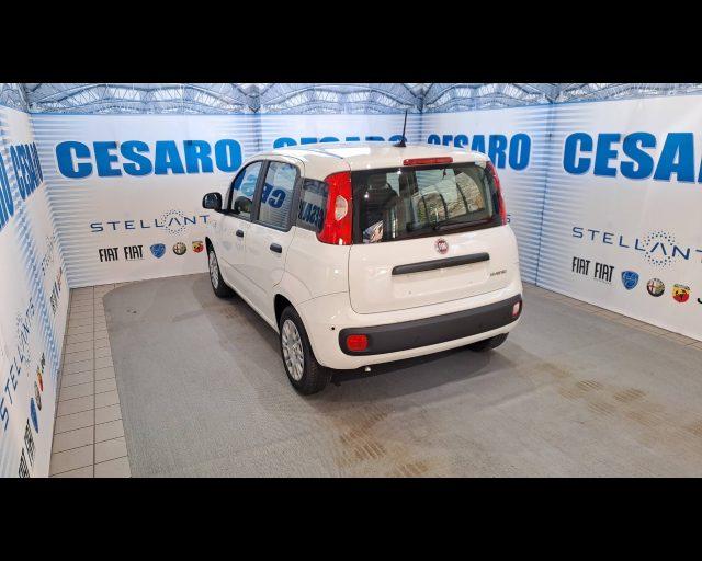 FIAT Panda 1.0 firefly hybrid Icon s&s 70cv 5p.ti