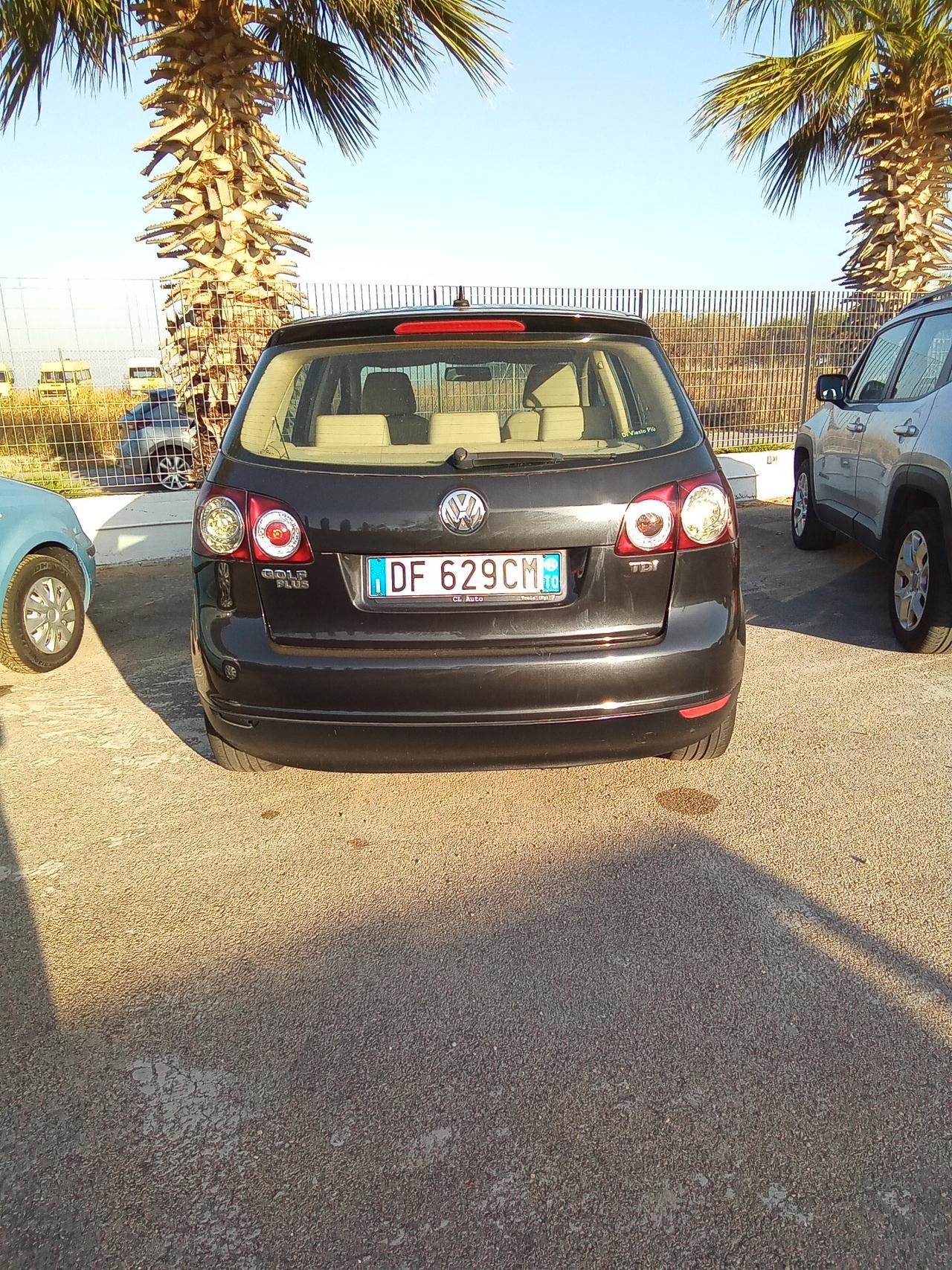 Volkswagen Golf Plus Golf 1.9 TDI DPF 5p. Comfortline