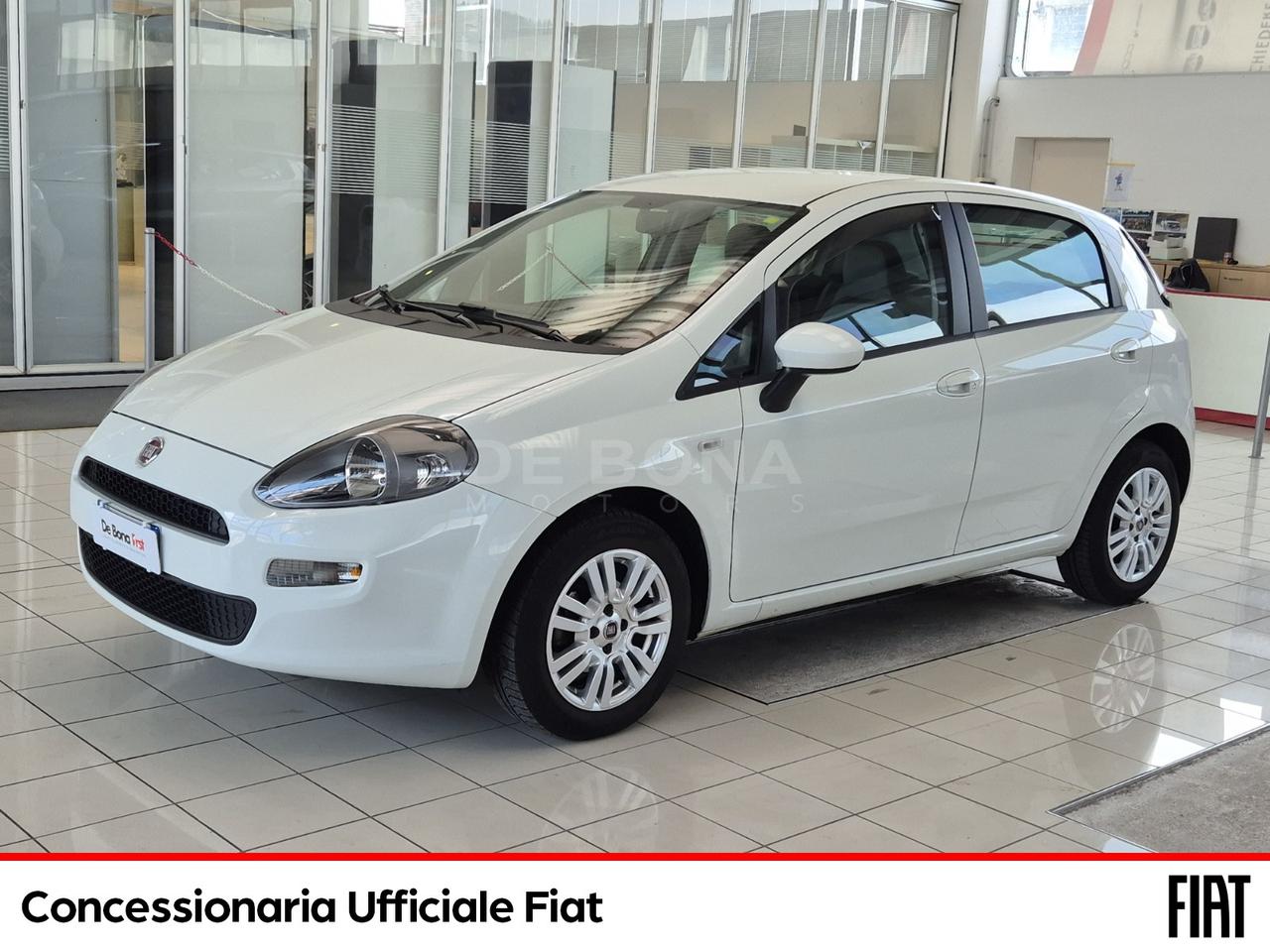 Fiat Punto 5p 1.2 street (easy)