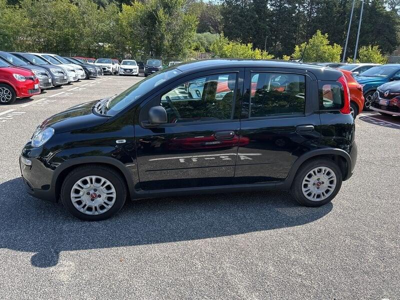 FIAT Panda New My23 1.0 70cv Hybrid Panda