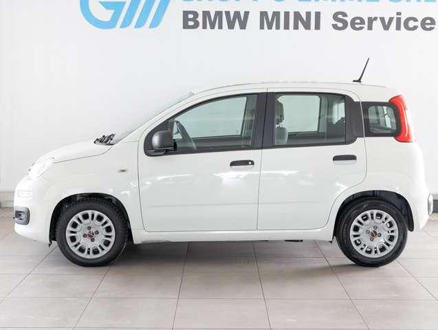 Fiat Panda Panda 1.0 firefly hybrid s