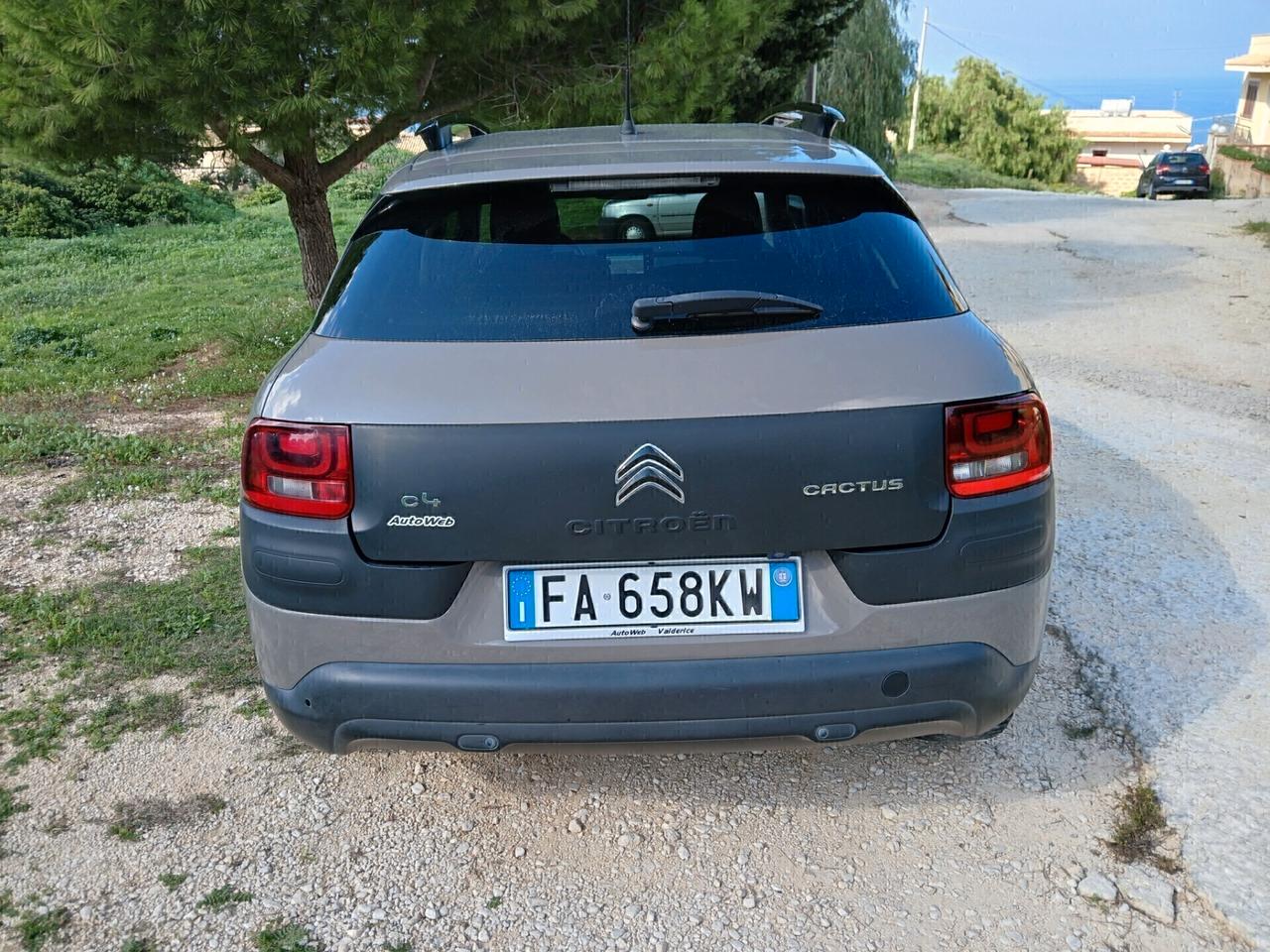 Citroen C4 Cactus