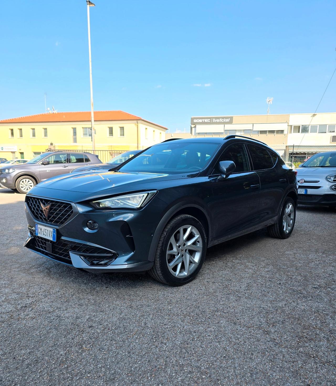 Cupra Formentor 2.0 TDI 4Drive DSG 4x4