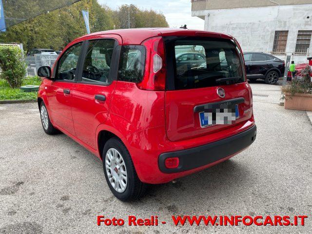 FIAT Panda 1.0 FireFly S&S Hybrid Easy NEOPATENTATI