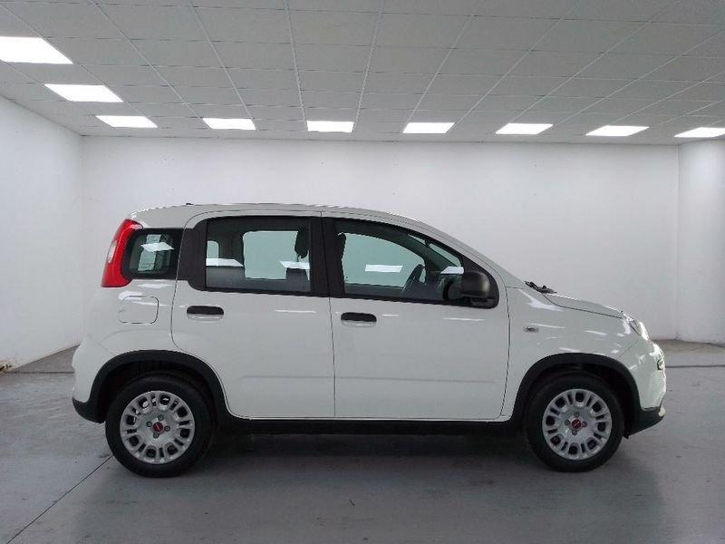 FIAT Panda 1.0 firefly hybrid s&s 70cv