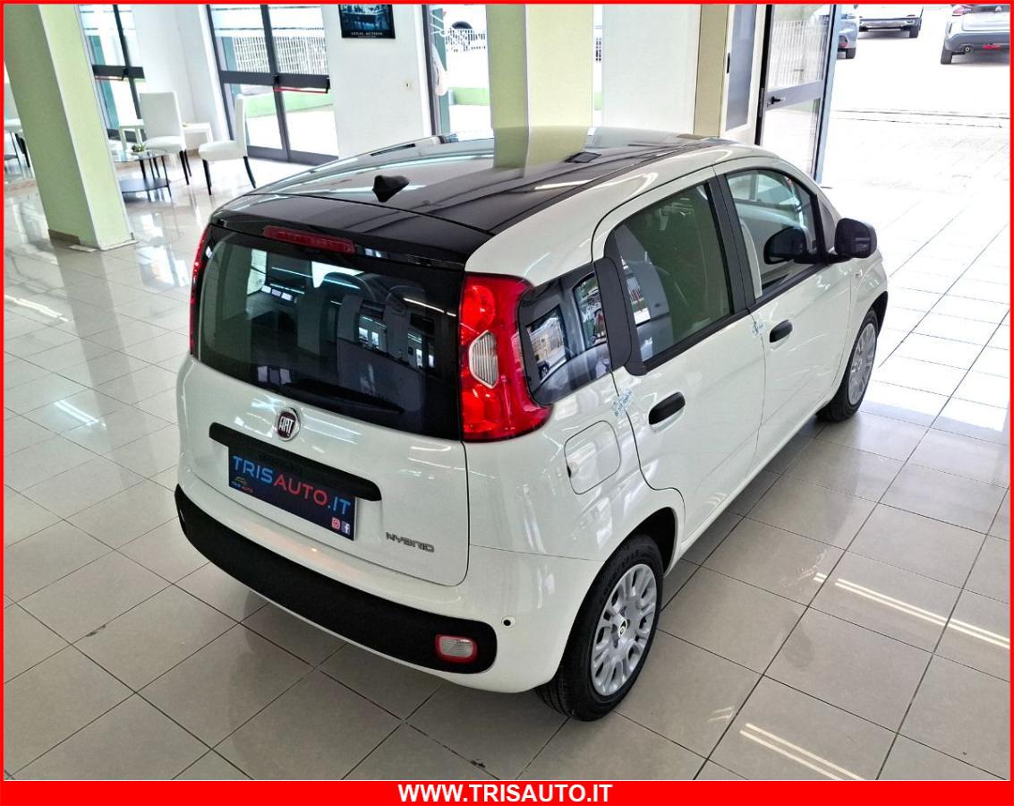FIAT Panda 1.0 FireFly S&S Hybrid 5p.ti NEOPATENTATI