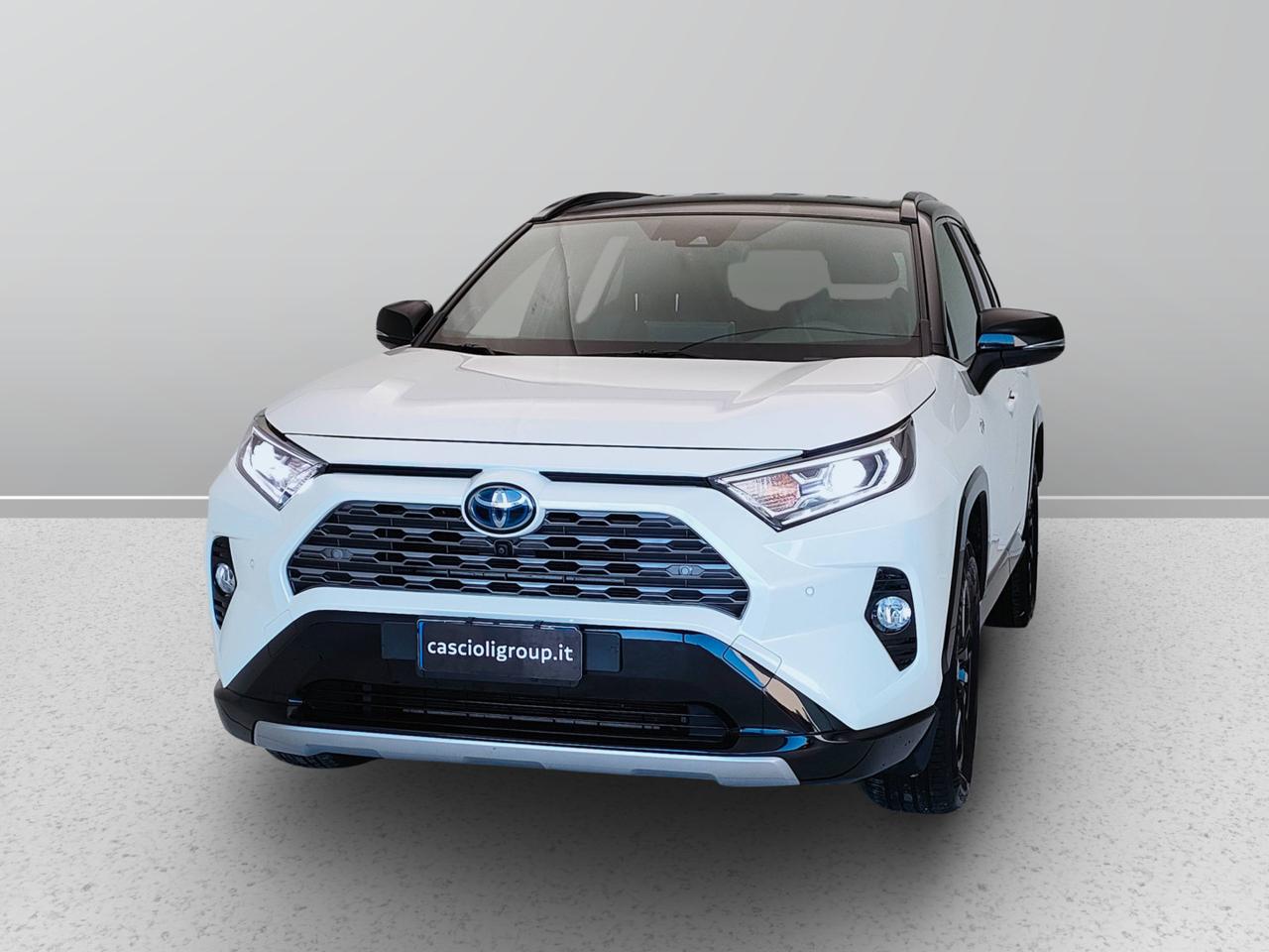 TOYOTA Rav4 V 2019 - Rav4 2.5 vvt-ie h Style awd-i 222cv e-cvt