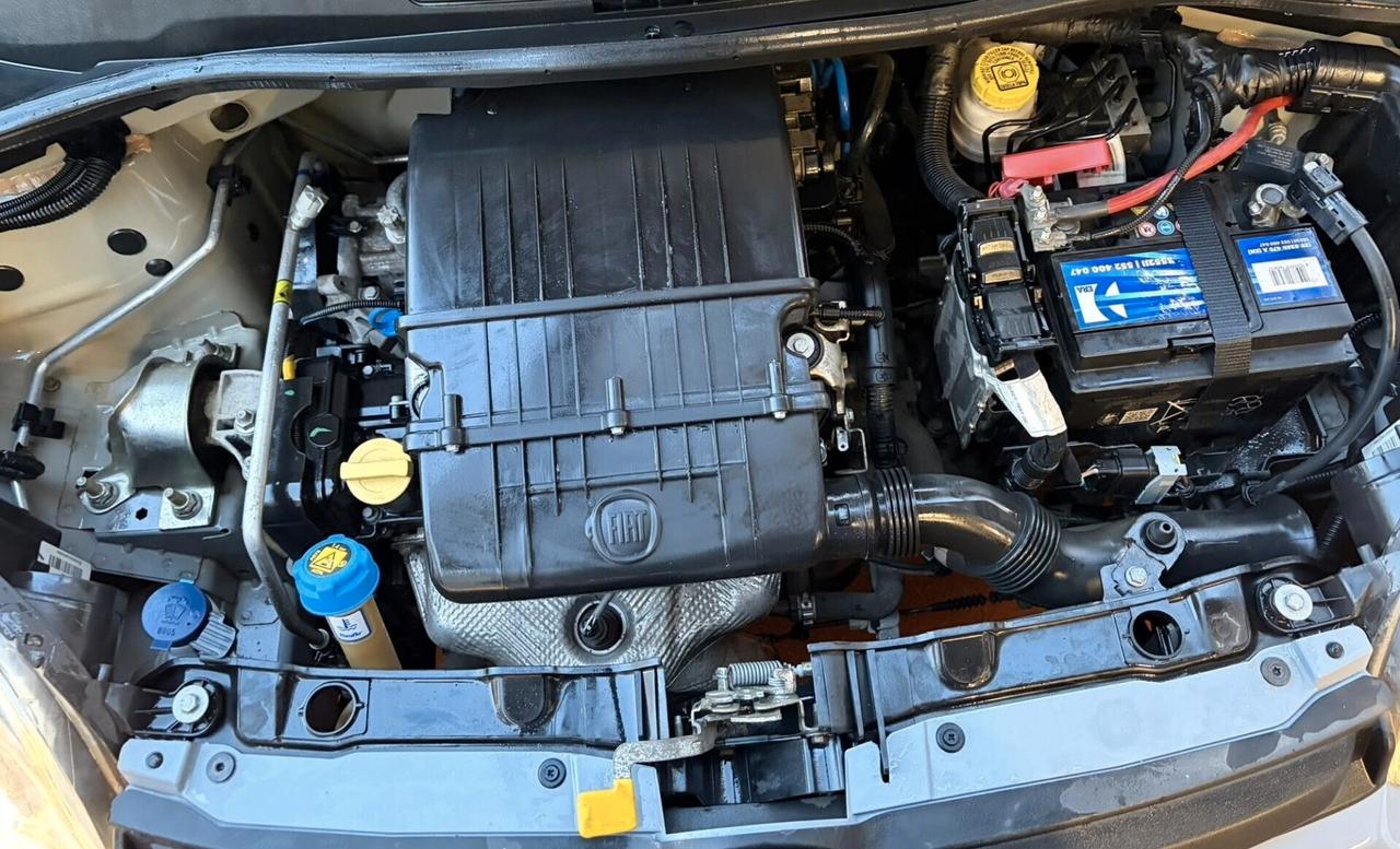 FIAT PANDA EASY 1.2cc IDONEA NEOPATENTATI