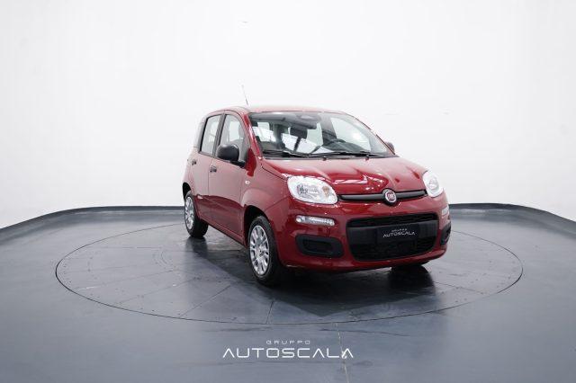 FIAT New Panda My25 1.0 FireFly S&S Hybrid