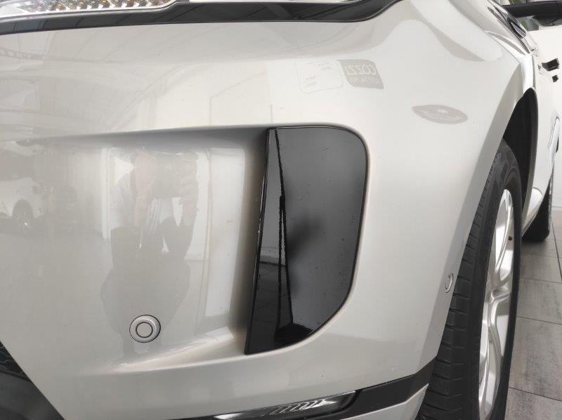 LAND ROVER RR Evoque 2ª serie - Range Rover Evoque 2.0D I4 163 CV AWD Auto S