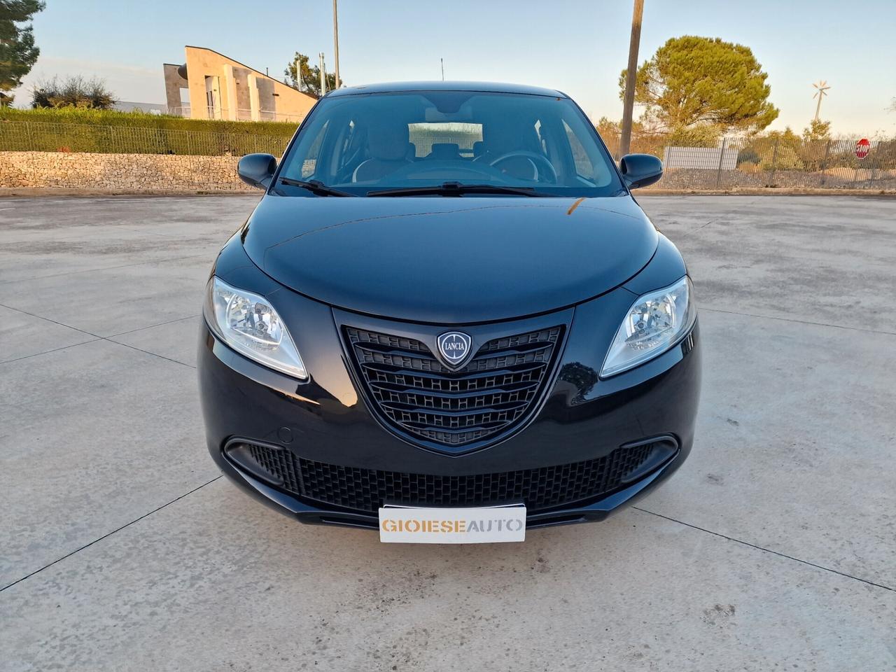 Lancia Ypsilon 1.2 69 CV 5 porte Elefantino