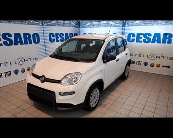 FIAT New Panda 1.0 firefly hybrid 70cv