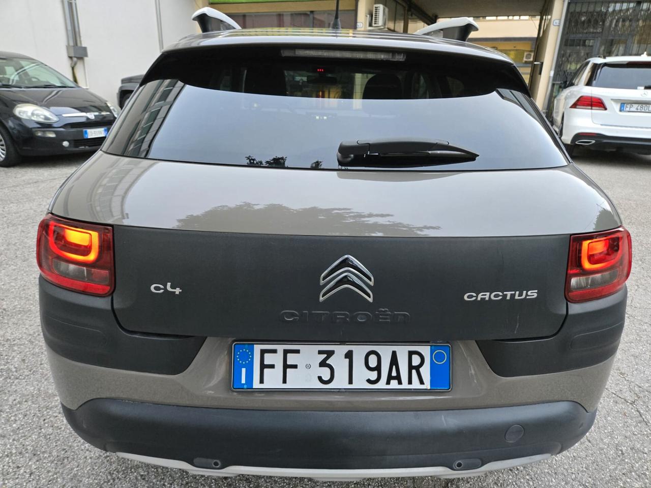 Citroen C4 Cactus BlueHDi 100 Rip Curl