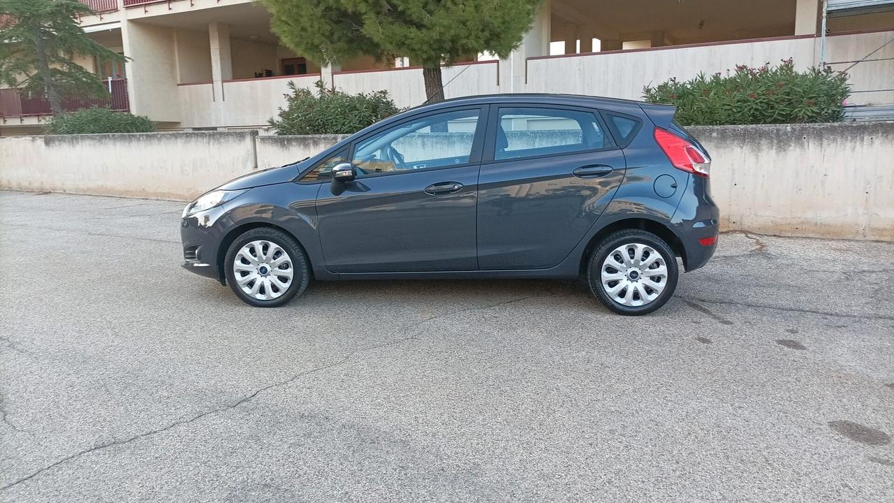 Ford Fiesta 1.4 5 porte Bz.- GPL Business