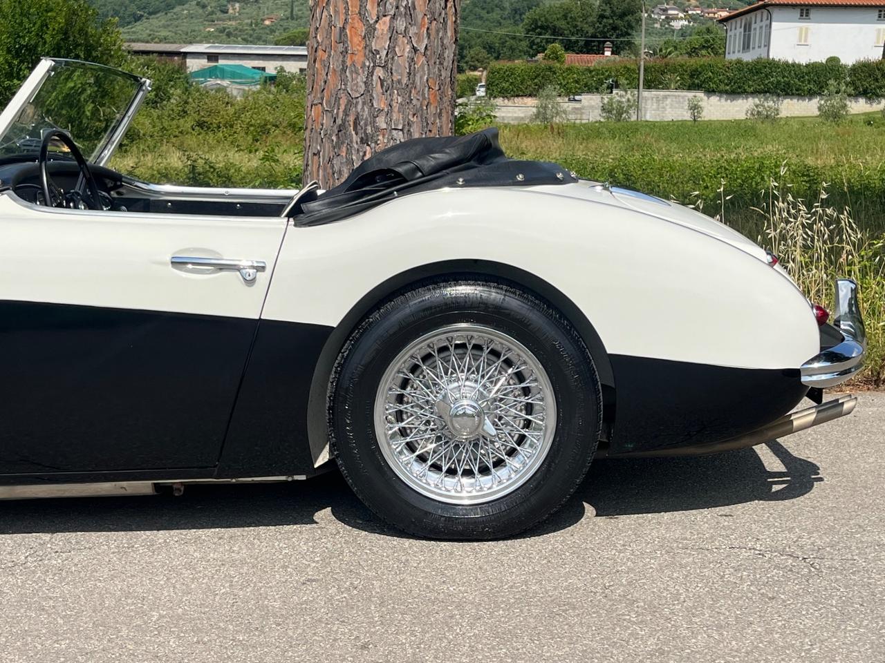 Austin Healey 100/6 BN4 2700 ASI