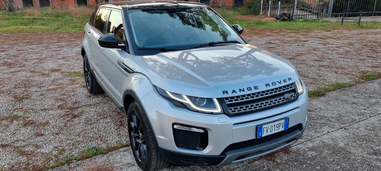 Land Rover Range Evoque 2.0 TD4 150 CV 5p. Pure