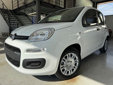 Fiat Pandina 1.0 firefly hybrid Icon s&s 65cv