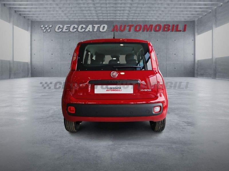 FIAT Panda Panda 1.0 firefly hybrid s&s 70cv