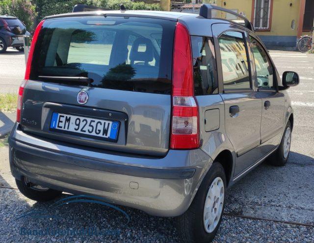 FIAT Panda 1.2 Active NeoPatentati UniProprietario