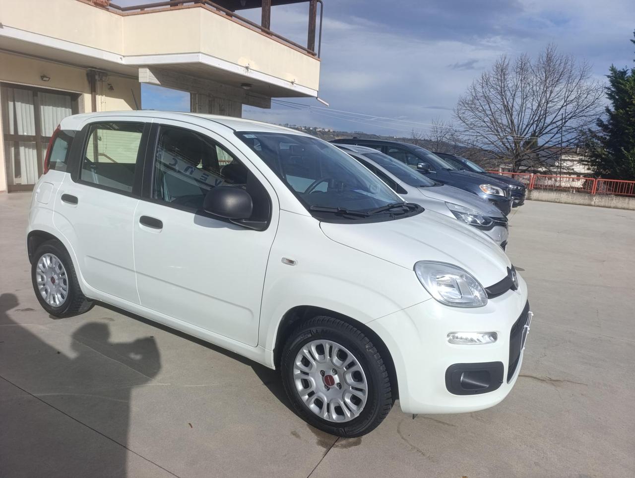 Fiat Panda 1.2 Easy easypower Gpl 69cv my19