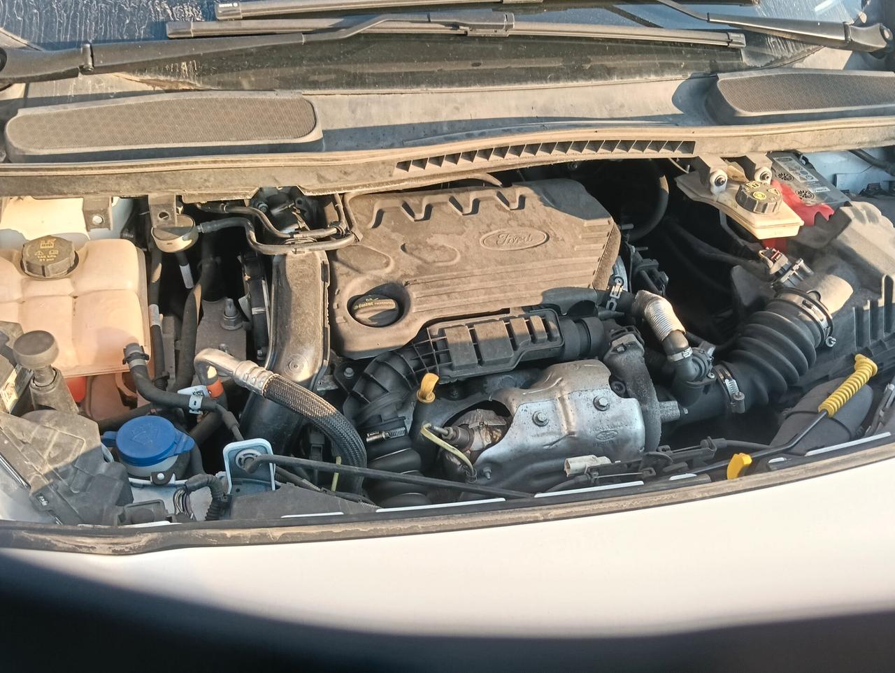 Ford Tourneo Connect autocarro