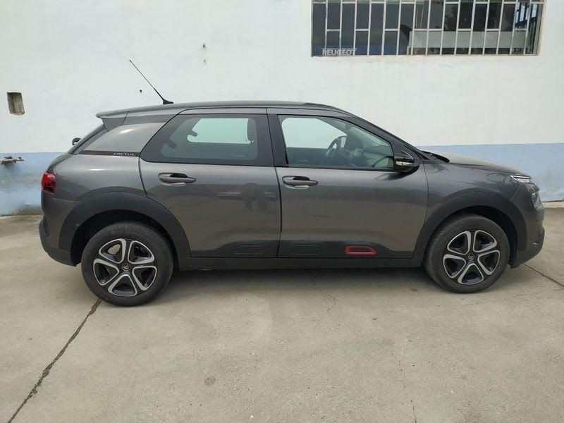 Citroën C4 Cactus 100 1.5 hdi Feel Zero Interessi